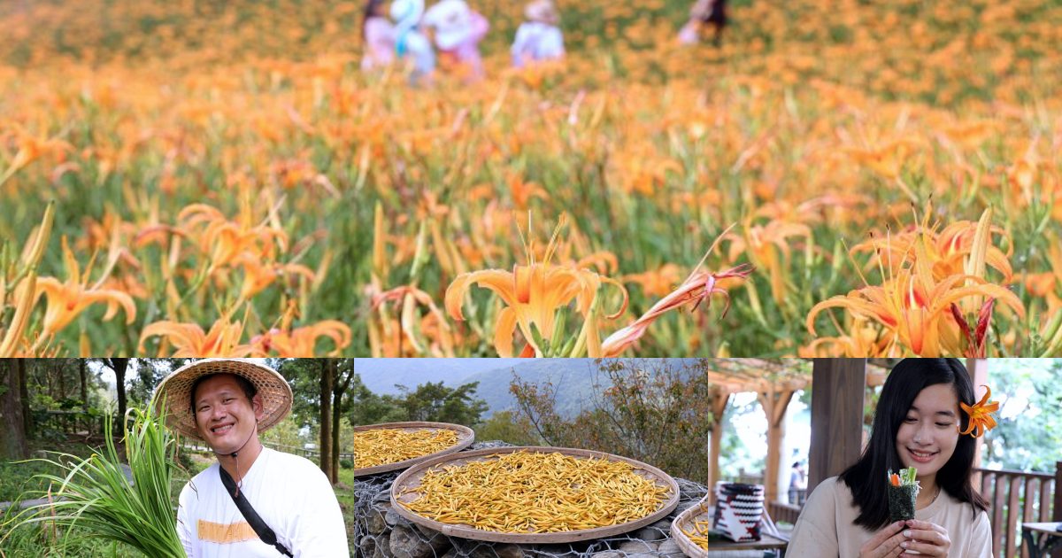 台東太麻里金針山休閒農業區 | 金針山花季到10月中，周邊景點美食住宿推薦