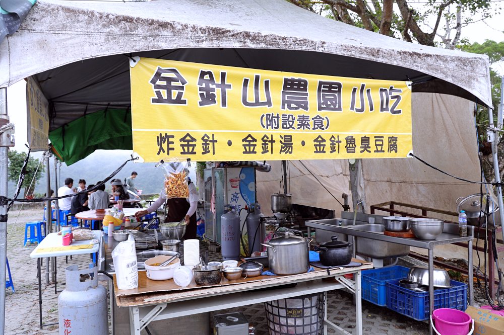 台東太麻里金針山休閒農業區 | 金針山花季到10月中，周邊景點美食住宿推薦