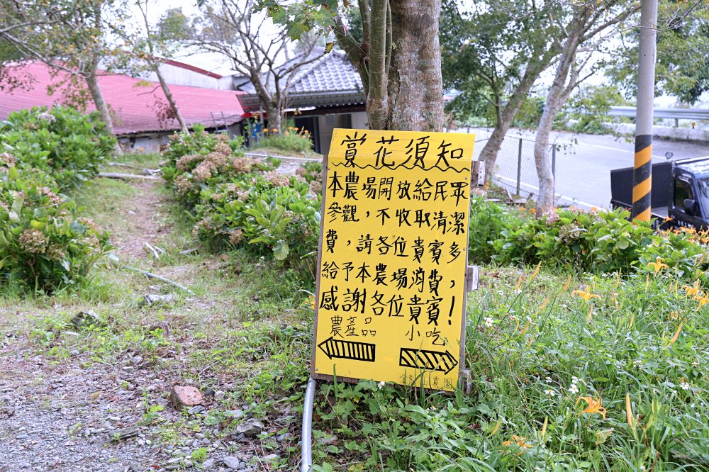 台東太麻里金針山休閒農業區 | 金針山花季到10月中，周邊景點美食住宿推薦