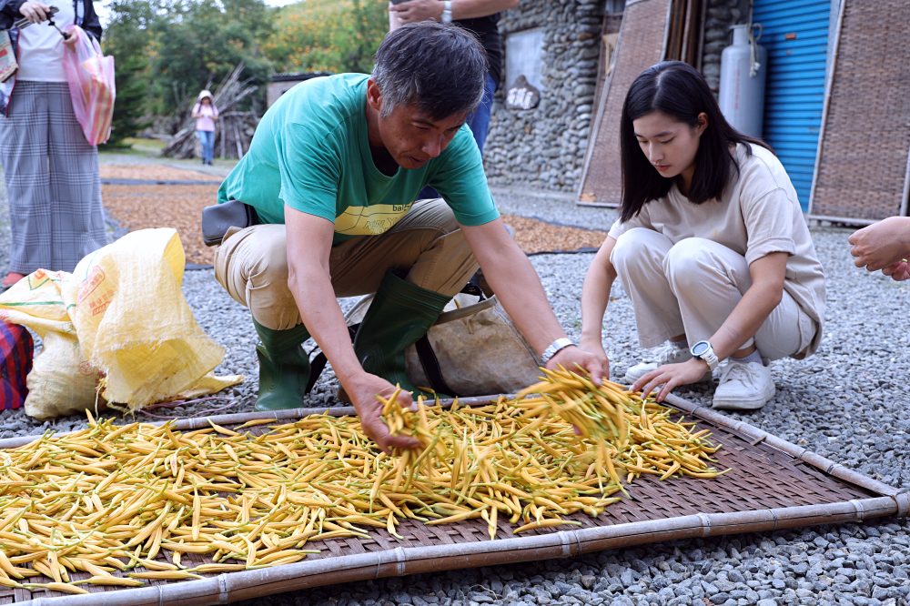 台東太麻里金針山休閒農業區 | 金針山花季到10月中，周邊景點美食住宿推薦