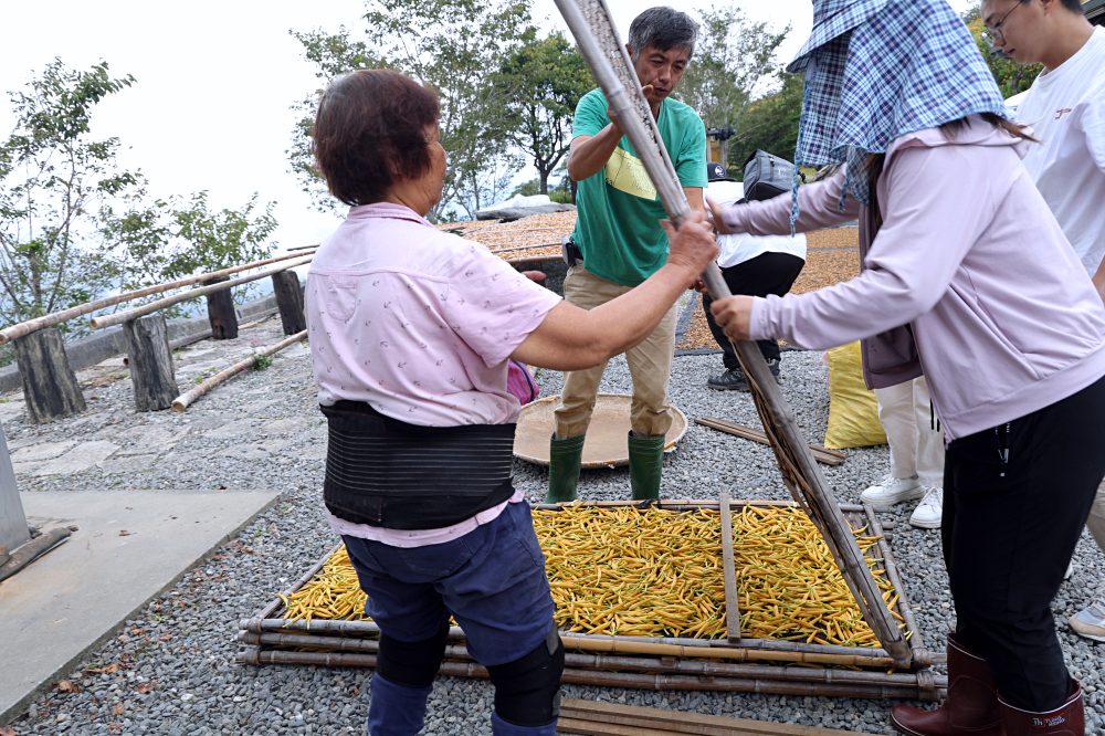 台東太麻里金針山休閒農業區 | 金針山花季到10月中，周邊景點美食住宿推薦