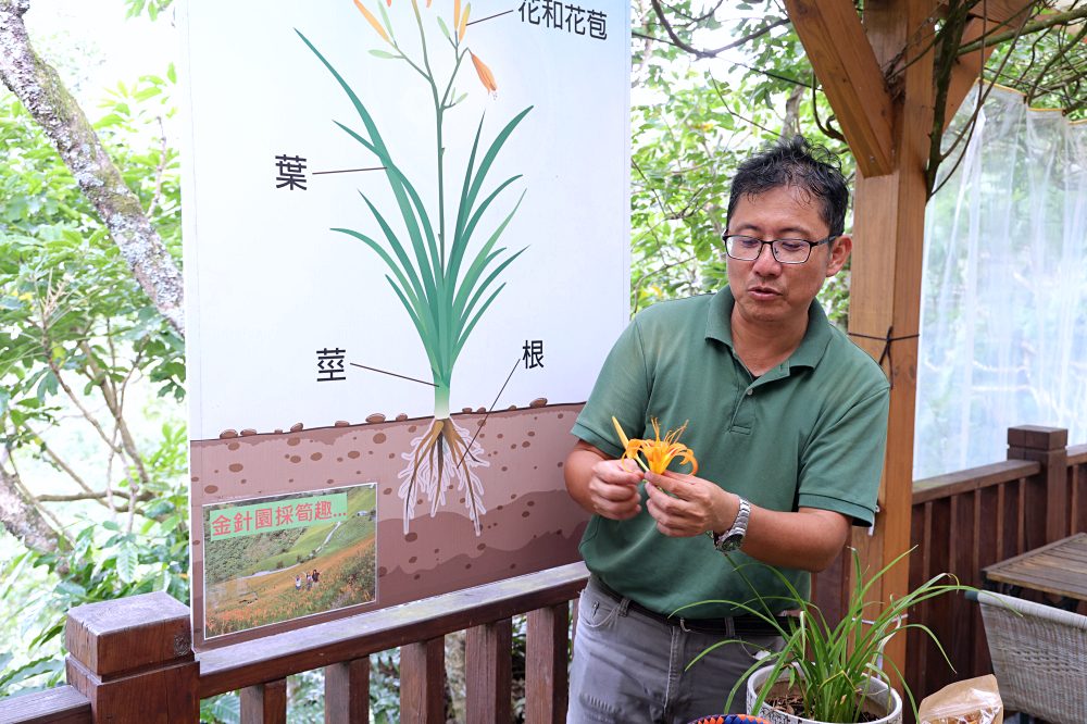 台東太麻里金針山休閒農業區 | 金針山花季到10月中，周邊景點美食住宿推薦