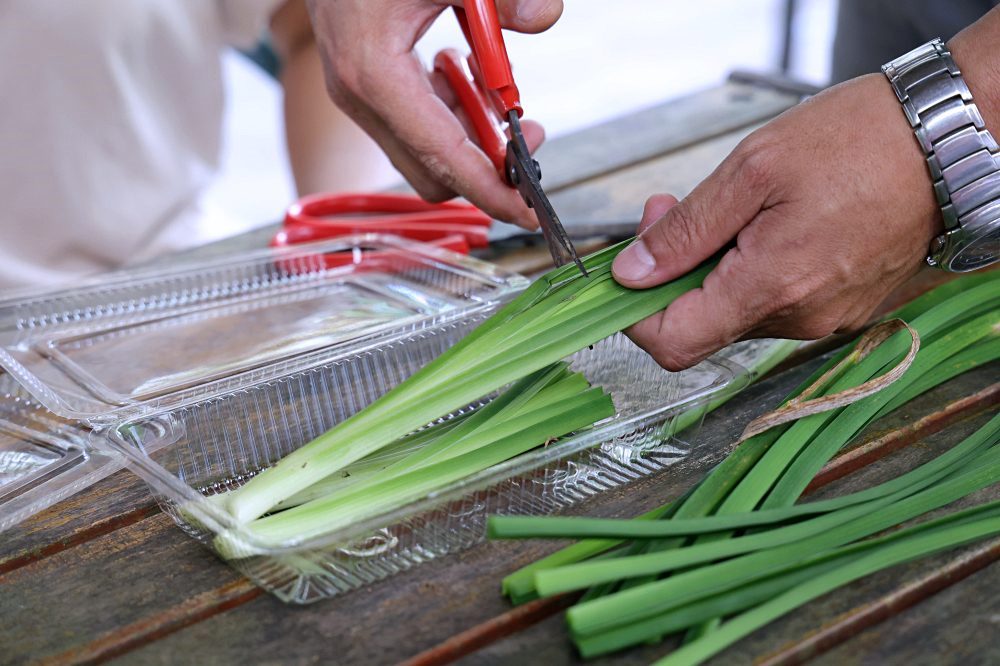 台東太麻里金針山休閒農業區 | 金針山花季到10月中，周邊景點美食住宿推薦