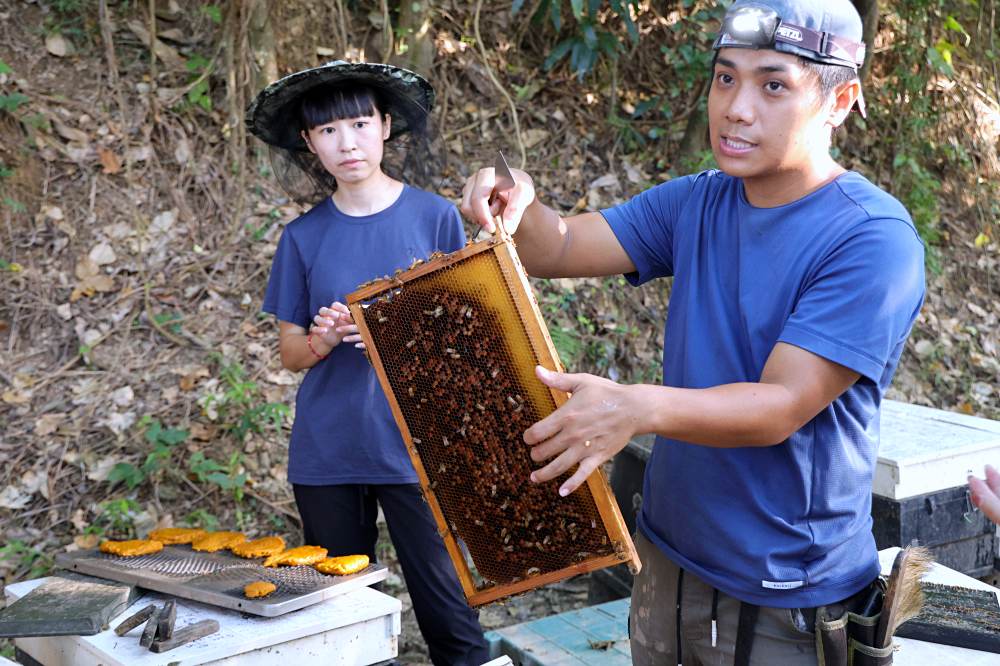 山豬窟休閒農業區 | 台東秘境景點，千年神榕、忘憂亭、鹹蛋DIY、苔球DIY、品嚐排灣族美食