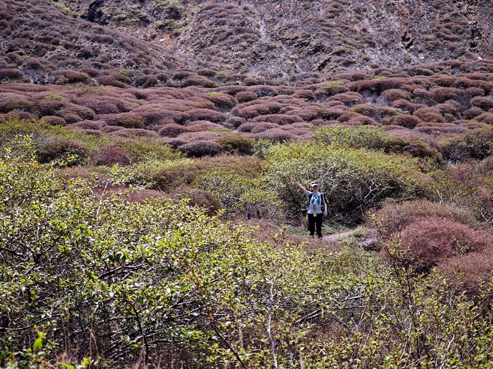 日本熊本景點 | 阿蘇火山登山健行路線