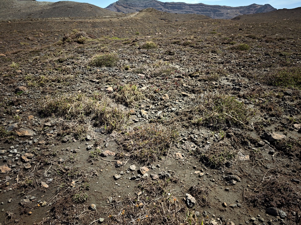 日本熊本景點 | 阿蘇火山登山健行路線