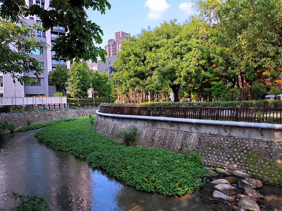 從白天玩到天黑，暢玩台中免費景點，台中一日遊2024水岸景點