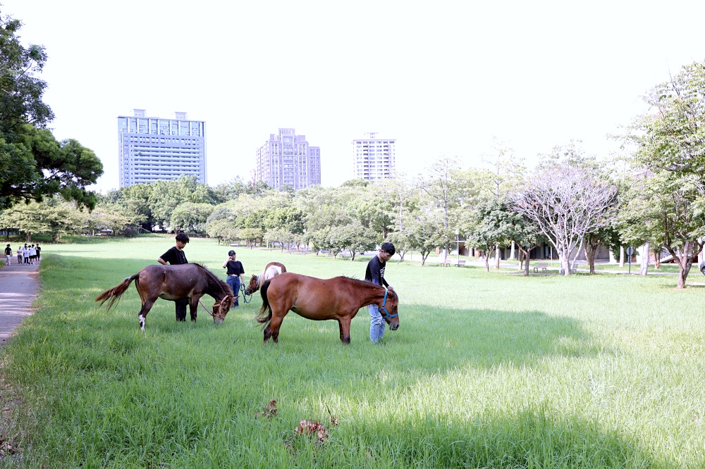 從白天玩到天黑，暢玩台中免費景點，台中一日遊2024水岸景點