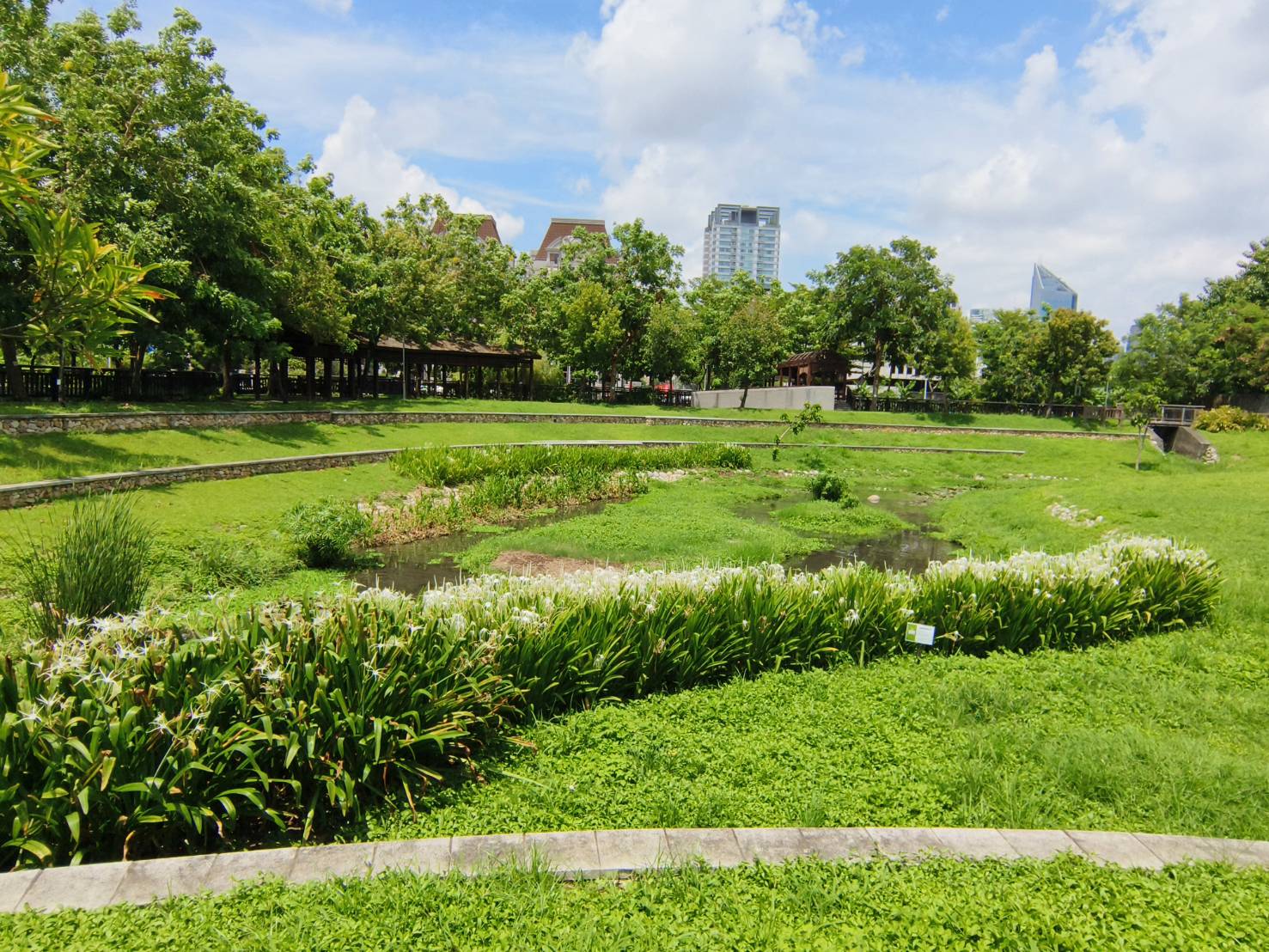 從白天玩到天黑，暢玩台中免費景點，台中一日遊2024水岸景點