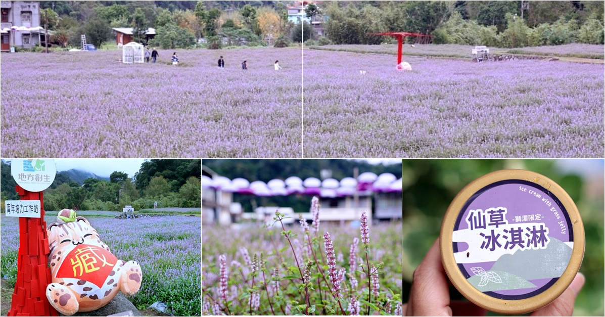 獅潭仙草花節一日遊 | 浪漫紫色仙草花海美翻啦！順遊獅潭景點，獅潭美食吃起來