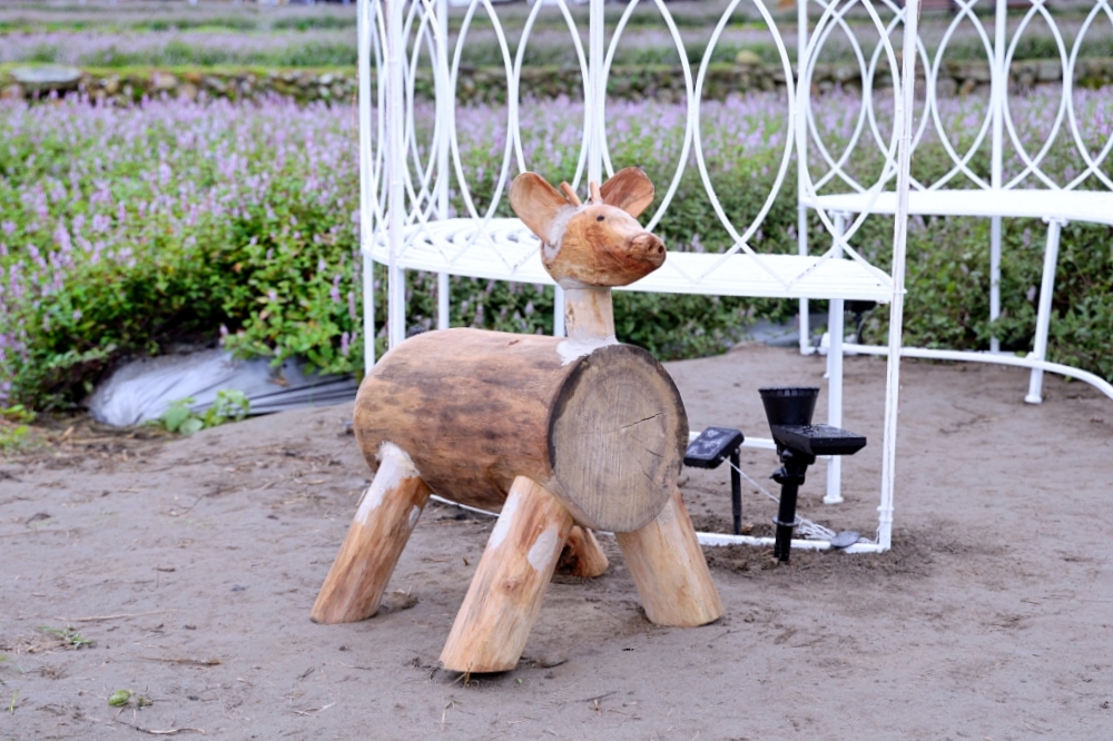 獅潭仙草花節一日遊 | 浪漫紫色仙草花海美翻啦！順遊獅潭景點，獅潭美食吃起來