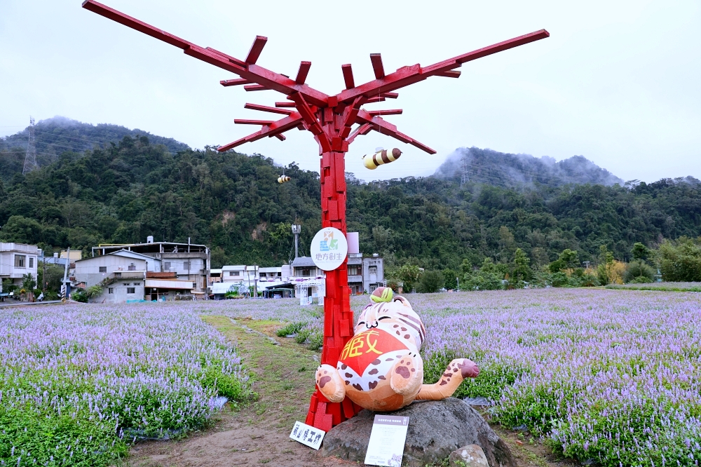 獅潭仙草花節一日遊 | 浪漫紫色仙草花海美翻啦！順遊獅潭景點，獅潭美食吃起來