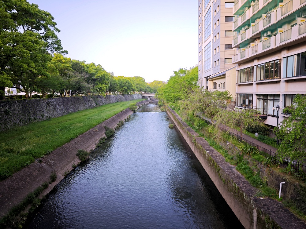 熊本城 | 熊本景點，春賞櫻花冬賞銀杏，大小天守閣整修完成