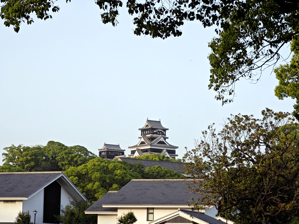 熊本城 | 熊本景點，春賞櫻花冬賞銀杏，大小天守閣整修完成