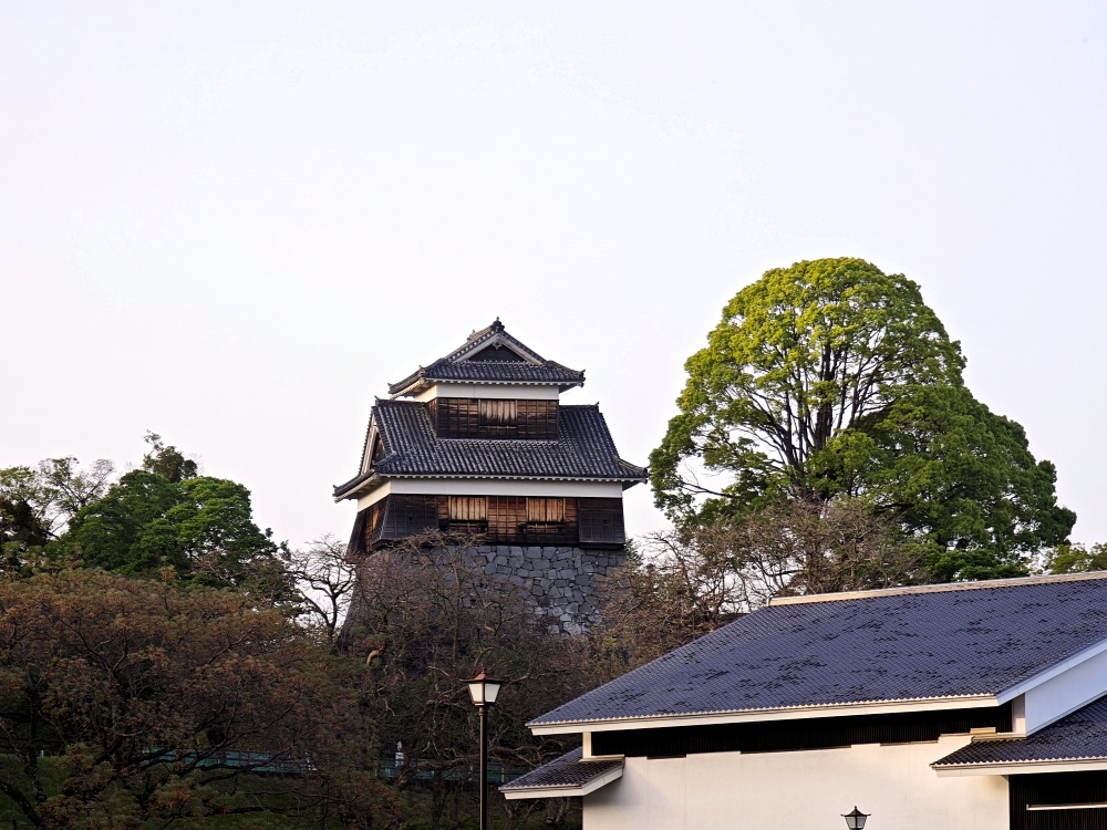 熊本城 | 熊本景點，春賞櫻花冬賞銀杏，大小天守閣整修完成