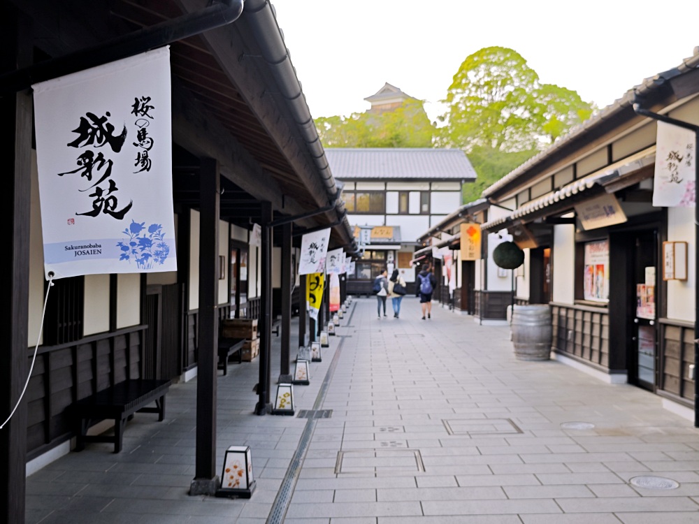 熊本城 | 熊本景點，春賞櫻花冬賞銀杏，大小天守閣整修完成