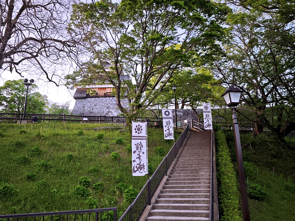 熊本城 | 熊本景點，春賞櫻花冬賞銀杏，大小天守閣整修完成