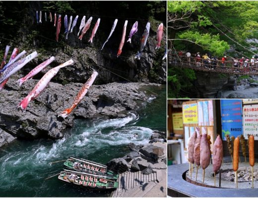 麗星郵輪6天5夜大阪高知 | 四國原來這麼美！德島大步危、祖谷蔓橋，景色美遊客少適合慢遊