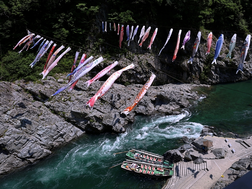 麗星郵輪6天5夜大阪高知 | 四國原來這麼美!德島大步危、祖谷蔓橋,景色美遊客少適合慢遊 麗星郵輪6天5夜大阪高知 | 四國原來這麼美!德島大步危、祖谷蔓橋,景色美遊客少適合慢遊