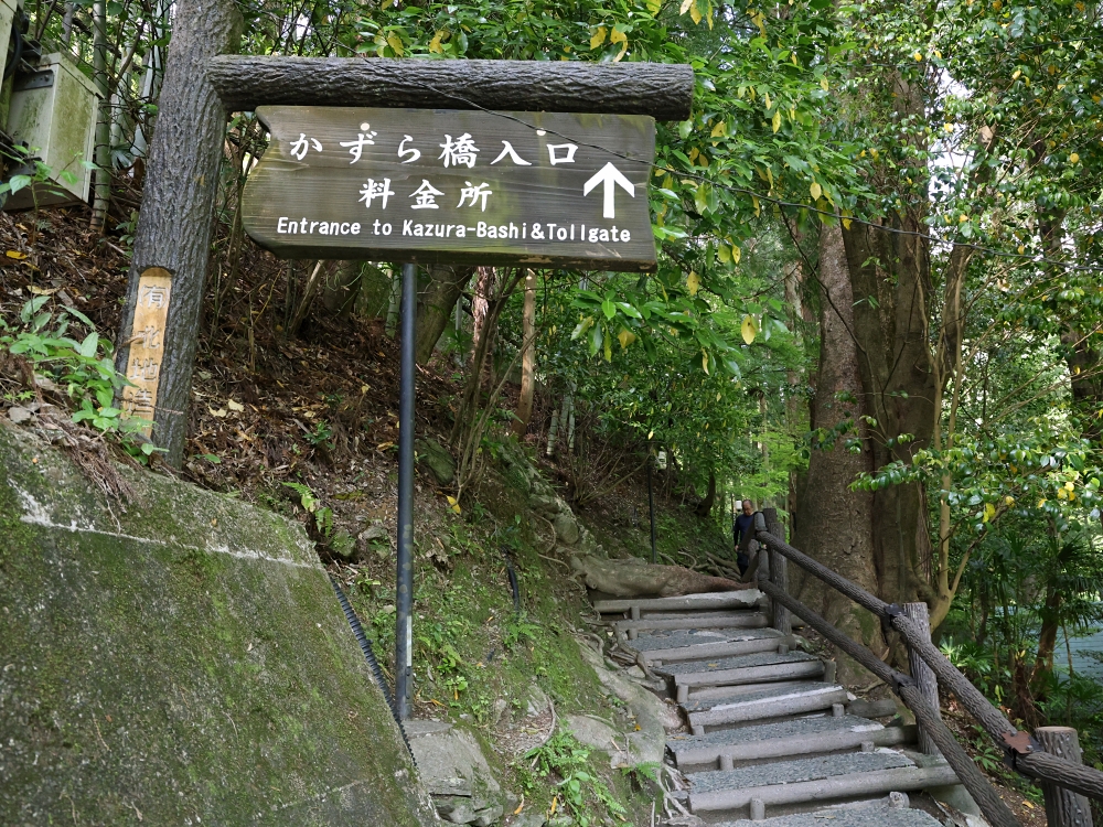 麗星郵輪6天5夜大阪高知 | 四國原來這麼美!德島大步危、祖谷蔓橋,景色美遊客少適合慢遊 麗星郵輪6天5夜大阪高知 | 四國原來這麼美!德島大步危、祖谷蔓橋,景色美遊客少適合慢遊