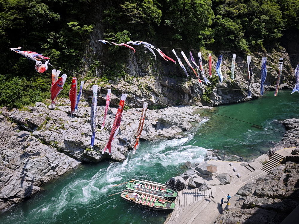 麗星郵輪6天5夜大阪高知 | 四國原來這麼美!德島大步危、祖谷蔓橋,景色美遊客少適合慢遊 麗星郵輪6天5夜大阪高知 | 四國原來這麼美!德島大步危、祖谷蔓橋,景色美遊客少適合慢遊