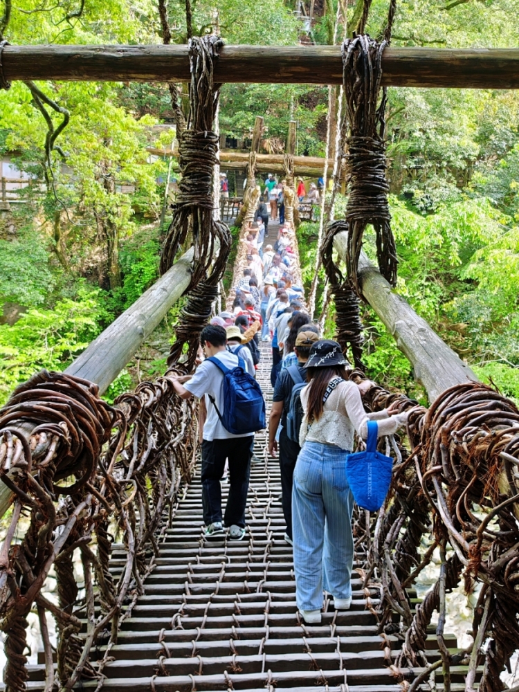 麗星郵輪6天5夜大阪高知 | 四國原來這麼美!德島大步危、祖谷蔓橋,景色美遊客少適合慢遊 麗星郵輪6天5夜大阪高知 | 四國原來這麼美!德島大步危、祖谷蔓橋,景色美遊客少適合慢遊