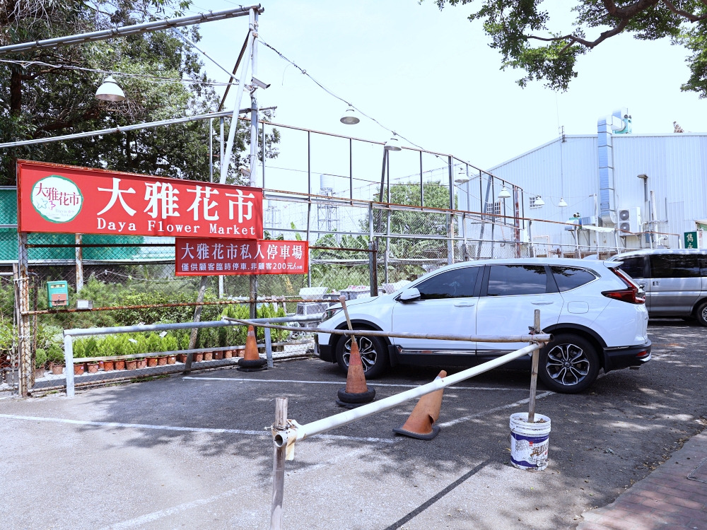 比田尾還好逛的台中花市 大雅花市（原八角農園）