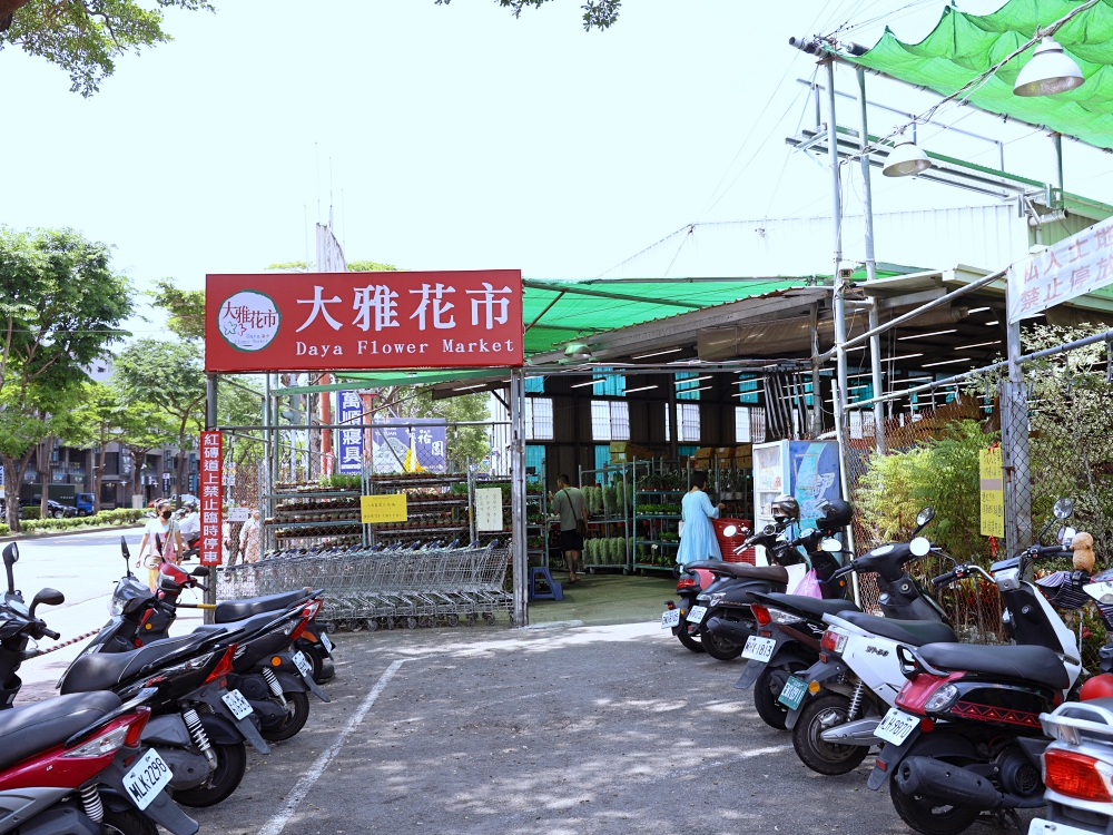 比田尾還好逛的台中花市 大雅花市（原八角農園）