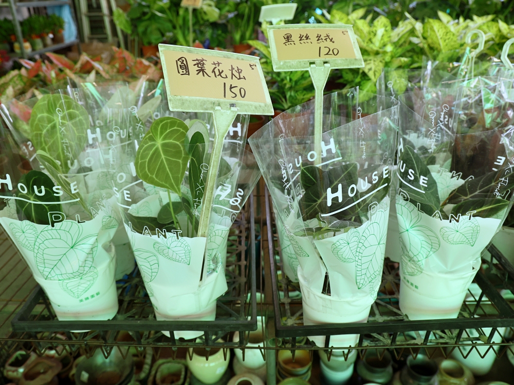 比田尾還好逛的台中花市 大雅花市（原八角農園）