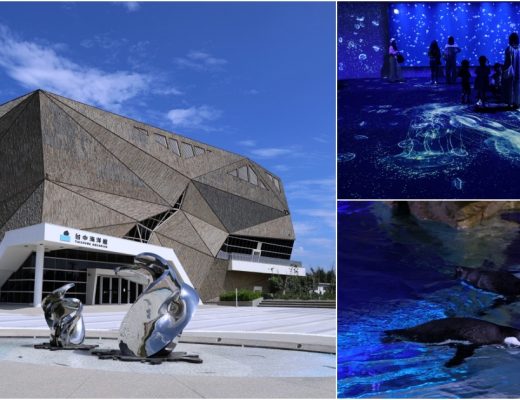 台中海洋館開箱！從淺灘到深海，沉浸式的海洋互動生態之旅