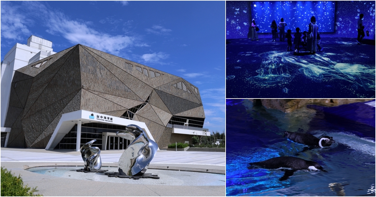 台中海洋館開箱！從淺灘到深海，沉浸式的海洋互動生態之旅