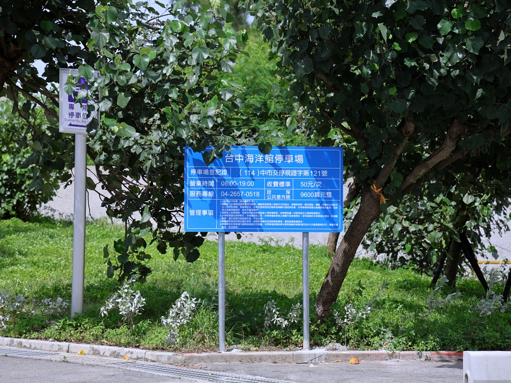 台中海洋館開箱!從淺灘到深海,沉浸式的海洋互動生態之旅 台中海洋館開箱!從淺灘到深海,沉浸式的海洋互動生態之旅