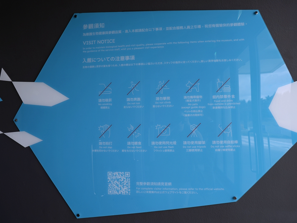 台中海洋館開箱!從淺灘到深海,沉浸式的海洋互動生態之旅 台中海洋館開箱!從淺灘到深海,沉浸式的海洋互動生態之旅