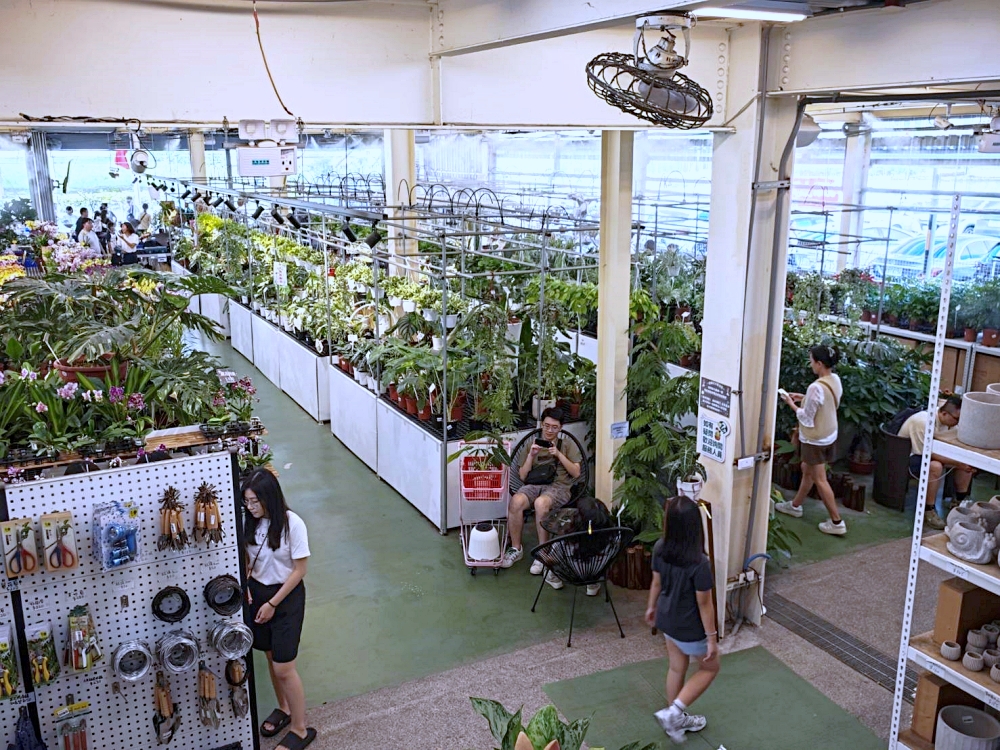旋轉花市 | 兩層樓多肉、觀葉、空鳳超好逛,有免費停車、換盆服務,植物控必逛台中花市 旋轉花市 | 兩層樓多肉、觀葉、空鳳超好逛,有免費停車、換盆服務,植物控必逛台中花市