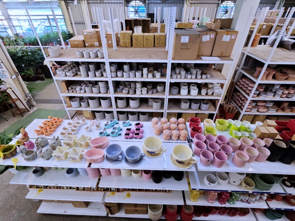 旋轉花市 | 兩層樓多肉、觀葉、空鳳超好逛,有免費停車、換盆服務,植物控必逛台中花市 旋轉花市 | 兩層樓多肉、觀葉、空鳳超好逛,有免費停車、換盆服務,植物控必逛台中花市