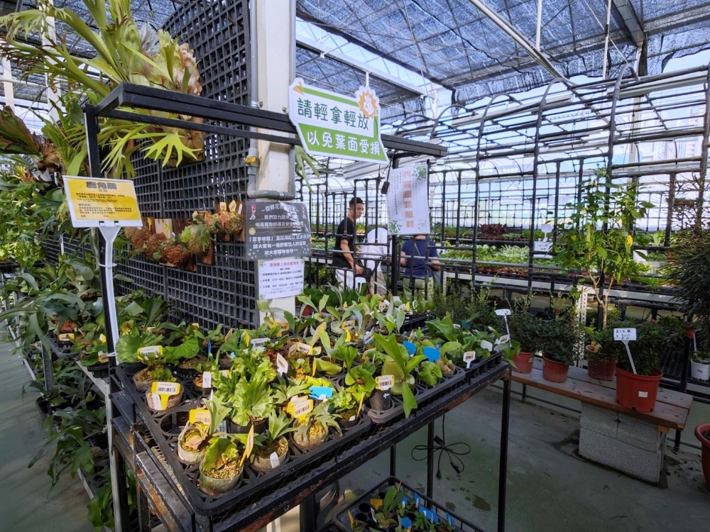 旋轉花市 | 兩層樓多肉、觀葉、空鳳超好逛,有免費停車、換盆服務,植物控必逛台中花市 旋轉花市 | 兩層樓多肉、觀葉、空鳳超好逛,有免費停車、換盆服務,植物控必逛台中花市