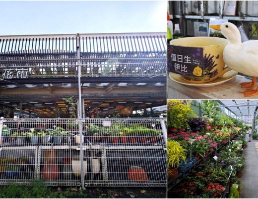 旋轉花市 | 兩層樓多肉、觀葉、空鳳超好逛，有免費停車、換盆服務，植物控必逛台中花市
