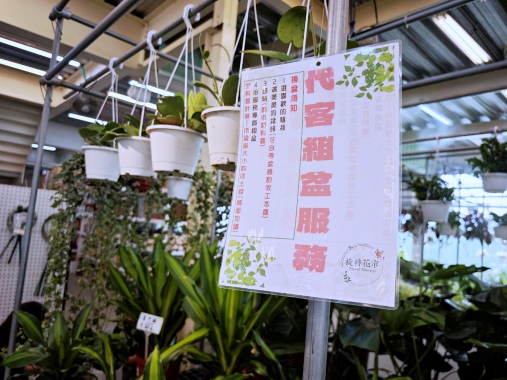旋轉花市 | 兩層樓多肉、觀葉、空鳳超好逛,有免費停車、換盆服務,植物控必逛台中花市 旋轉花市 | 兩層樓多肉、觀葉、空鳳超好逛,有免費停車、換盆服務,植物控必逛台中花市