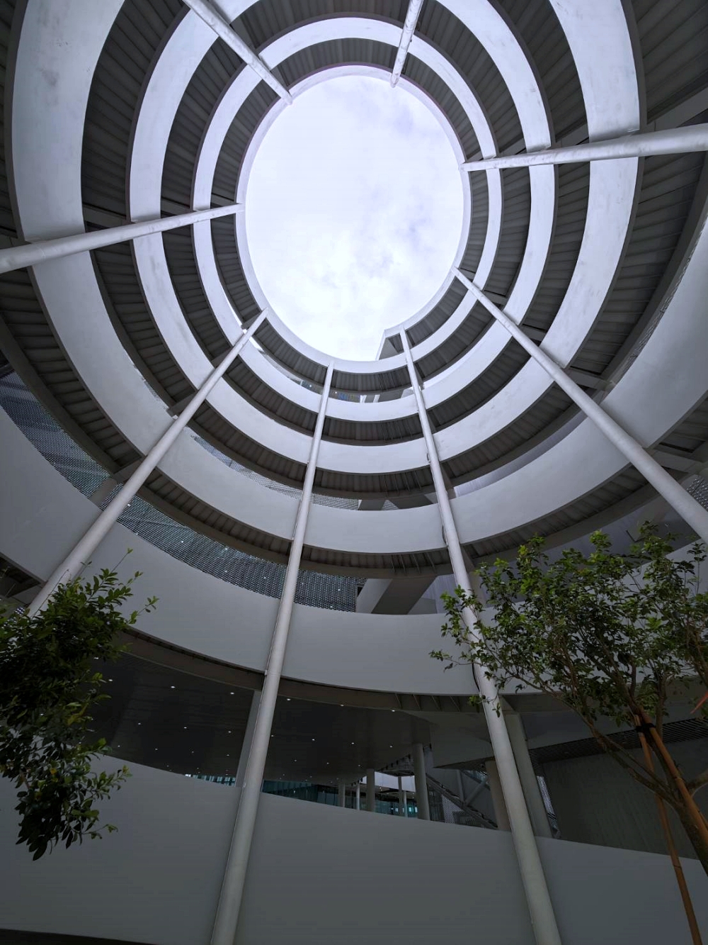 殿堂級超美建築!台中綠美圖試營運有交通接駁車 殿堂級超美建築!台中綠美圖試營運有交通接駁車