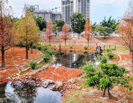 高鐵新市鎮生態公園 | 台中散步新亮點,台中國際足球園區就在旁邊 高鐵新市鎮生態公園 | 台中散步新亮點,台中國際足球園區就在旁邊