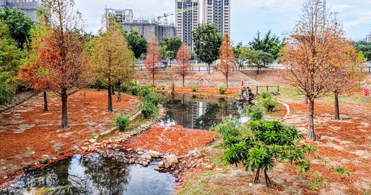 高鐵新市鎮生態公園 | 台中散步新亮點,台中國際足球園區就在旁邊 高鐵新市鎮生態公園 | 台中散步新亮點,台中國際足球園區就在旁邊
