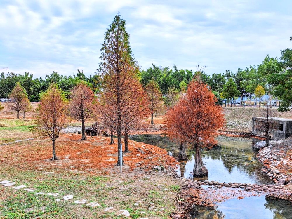高鐵新市鎮生態公園 | 台中散步新亮點,台中國際足球園區就在旁邊 高鐵新市鎮生態公園 | 台中散步新亮點,台中國際足球園區就在旁邊