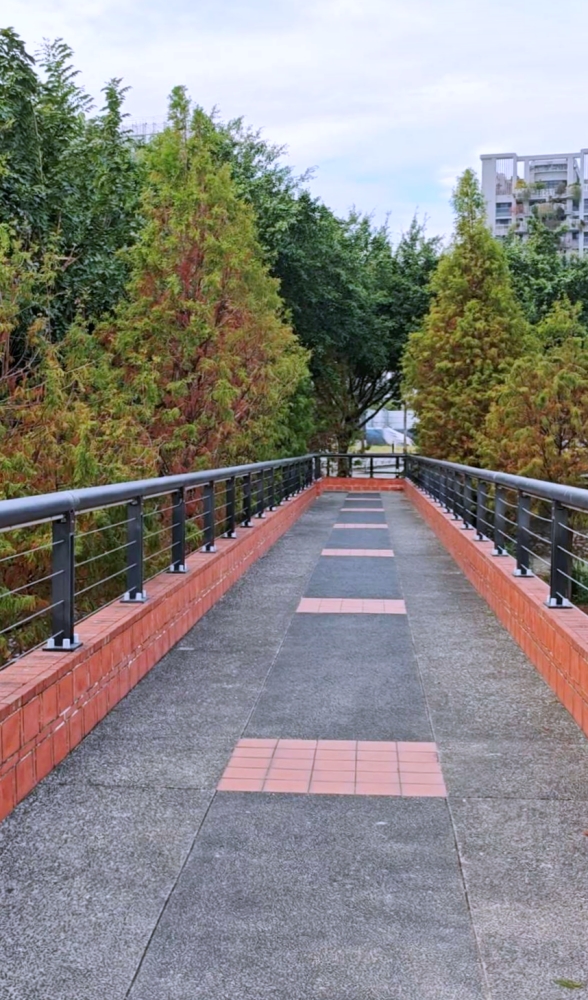 高鐵新市鎮生態公園 | 台中散步新亮點，台中國際足球園區就在旁邊