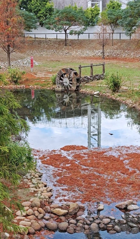 高鐵新市鎮生態公園 | 台中散步新亮點,台中國際足球園區就在旁邊 高鐵新市鎮生態公園 | 台中散步新亮點,台中國際足球園區就在旁邊