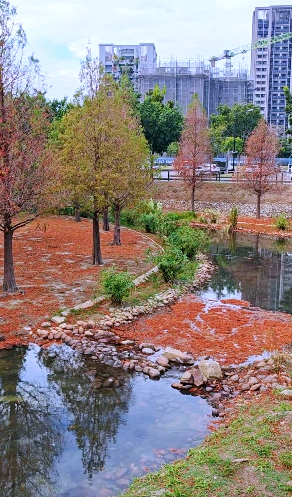 高鐵新市鎮生態公園 | 台中散步新亮點,台中國際足球園區就在旁邊 高鐵新市鎮生態公園 | 台中散步新亮點,台中國際足球園區就在旁邊