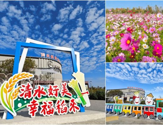 清水區農會休閒觀光園區 完整攻略 | 老穀倉蛻變成台中海線免費新景點，相當接地氣好拍又好買