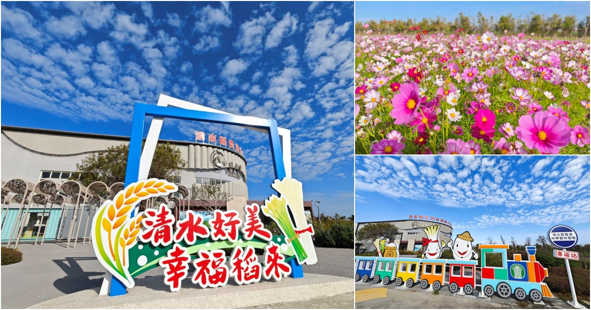 清水區農會休閒觀光園區 完整攻略 | 老穀倉蛻變成台中海線免費新景點，相當接地氣好拍又好買