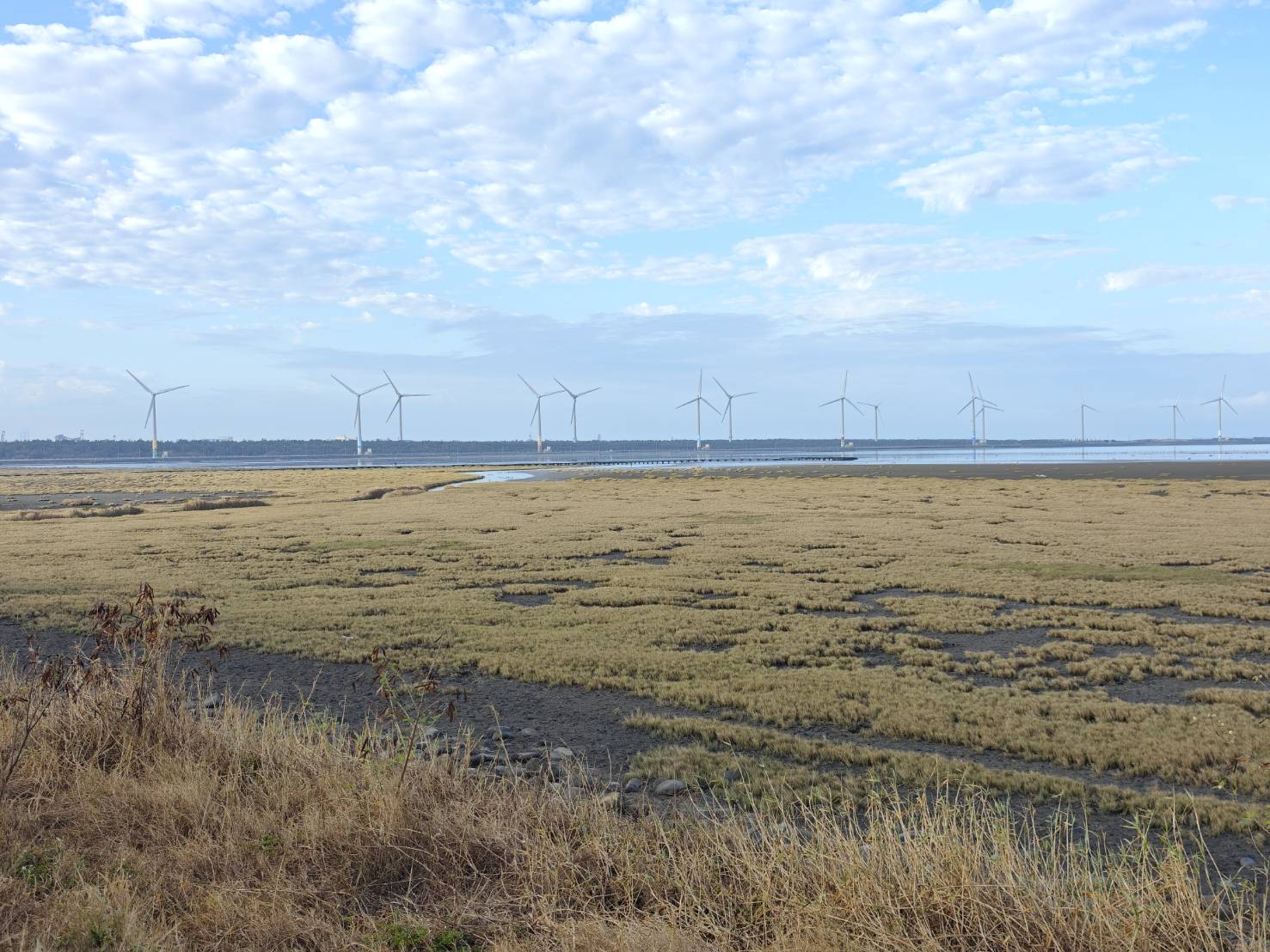 清水區農會休閒觀光園區 完整攻略 | 老穀倉蛻變成台中海線免費新景點，相當接地氣好拍又好買