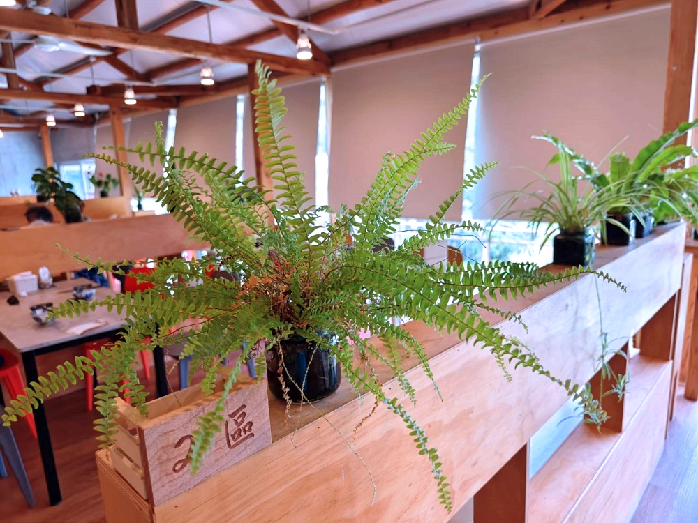 梅山太平雲梯美食推薦｜八玥文創全新套餐菜單整理，森林系景觀的台式合菜