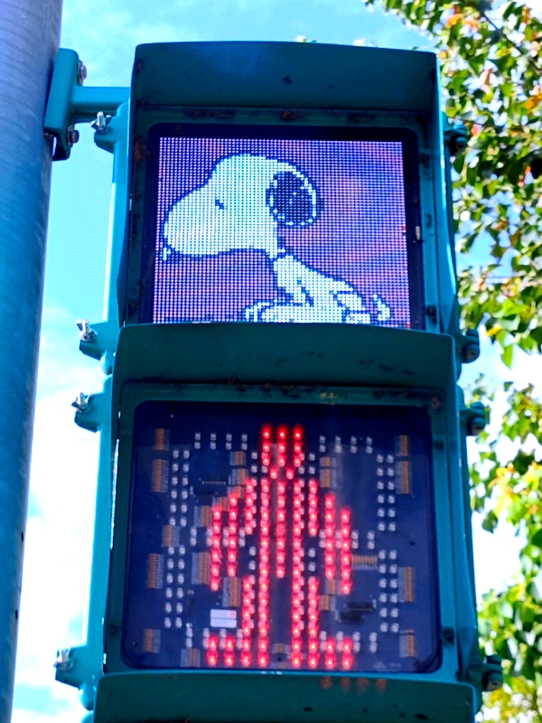 台中出現超萌史努比家族,還有史努比小綠人可愛爆擊! 台中出現超萌史努比家族,還有史努比小綠人可愛爆擊!